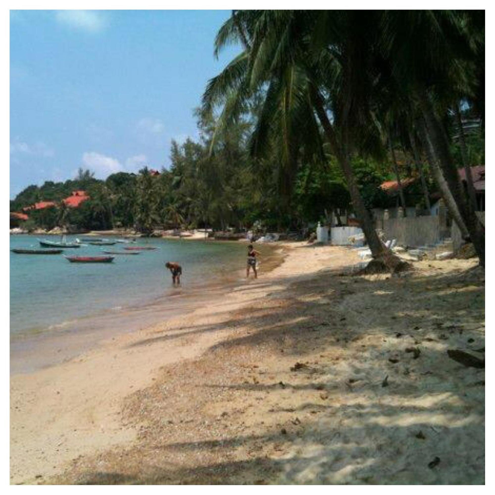 Jungle Hut Bungalows&Hotel Haad Chao Phao Exterior foto