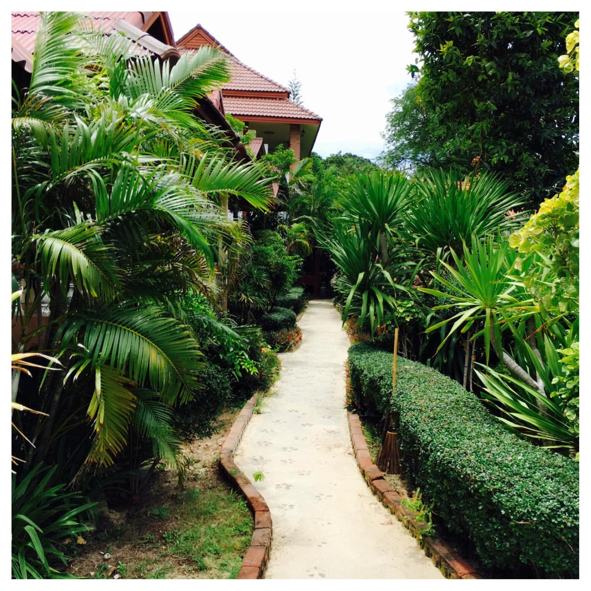 Jungle Hut Bungalows&Hotel Haad Chao Phao Exterior foto