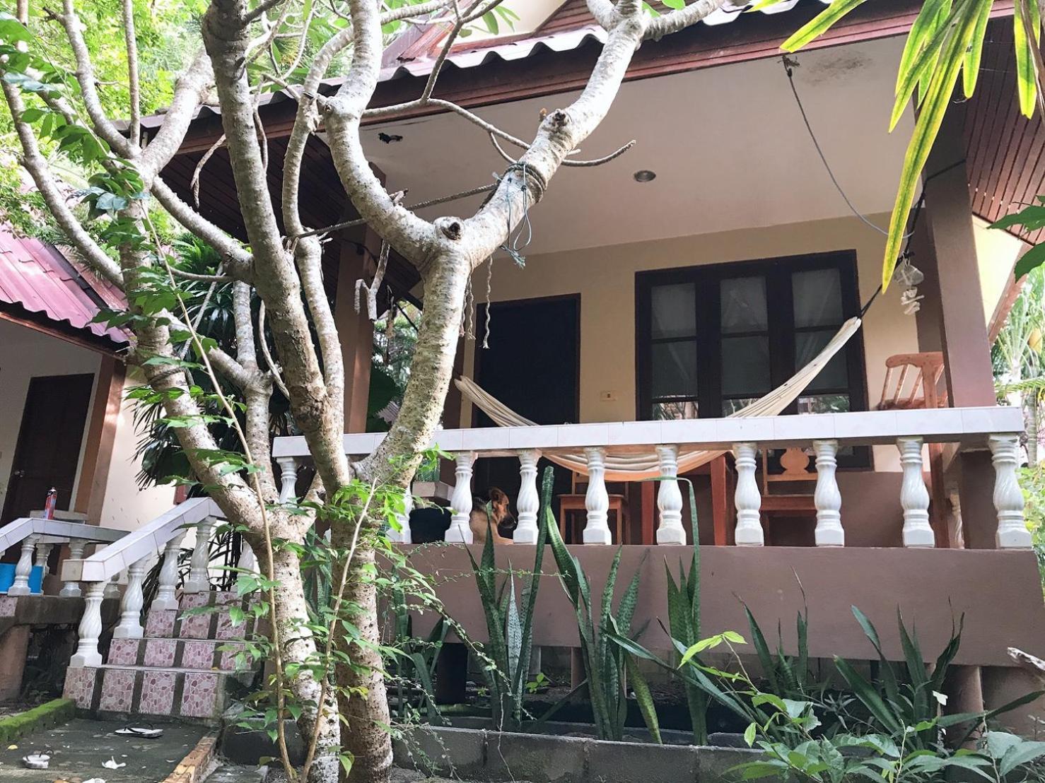 Jungle Hut Bungalows&Hotel Haad Chao Phao Zimmer foto