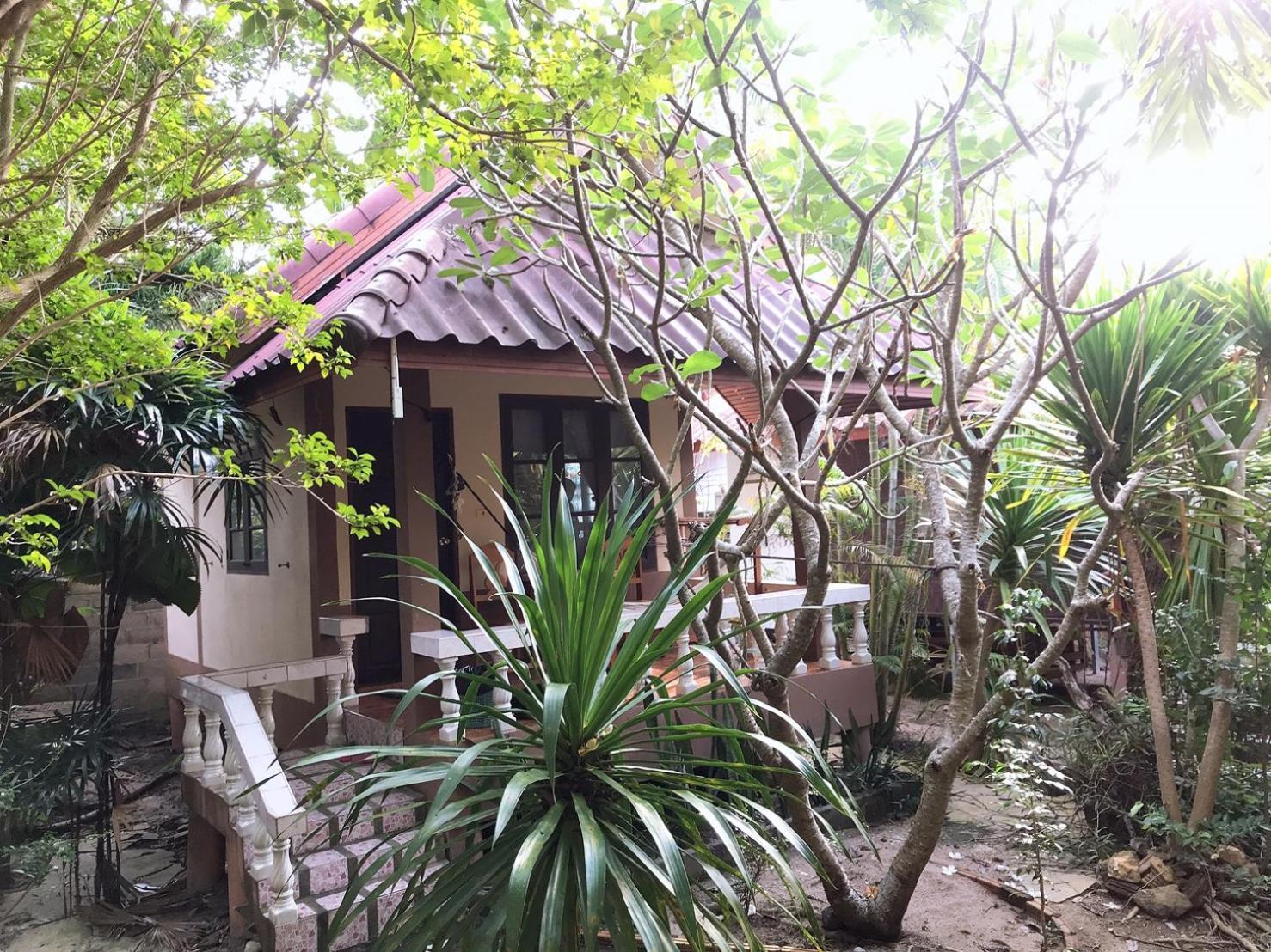Jungle Hut Bungalows&Hotel Haad Chao Phao Zimmer foto